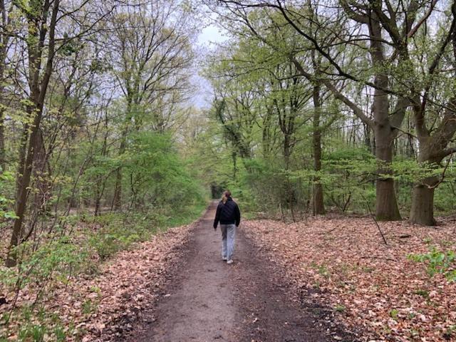 Stacaravan Huren In Het Hart Van Bosrijk Drenthe Op Recreatiepark De Tien Heugten Schoonloo Exteriér fotografie